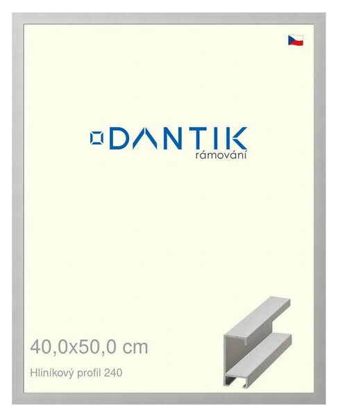 DANTIK rám na obraz 40x50 | ALU Stříbrná matná (Plexi Čiré)