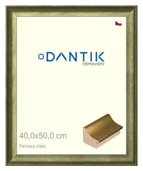 DANTIK rám na obraz 40x50 | Ferrosa zlatá (Plexi Čiré)