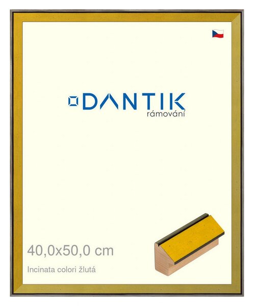 DANTIK rám na obraz 40x50 | INCLINATA colori žlutá (Plexi Čiré)
