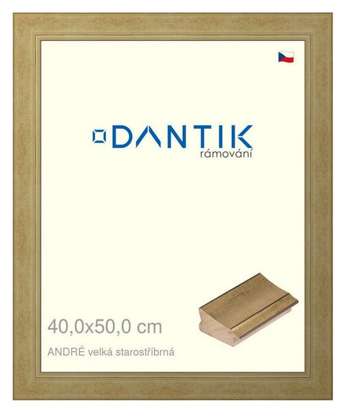 DANTIK rám na obraz 40x50 | ANDRÉ velká starostříbrná (Plexi Čiré)