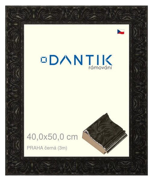 DANTIK rám na obraz 40x50 | PRAHA černá (Plexi Čiré)