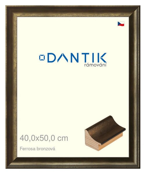 DANTIK rám na obraz 40x50 | Ferrosa bronzová (Plexi Čiré)
