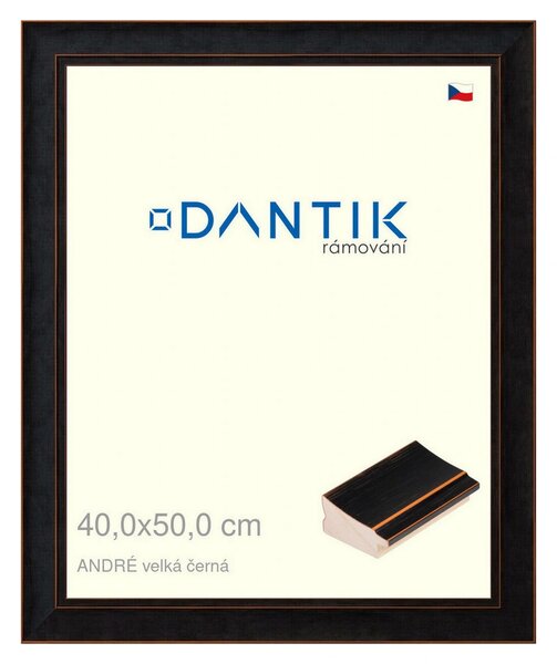 DANTIK rám na obraz 40x50 | ANDRÉ velká černá (Plexi Čiré)