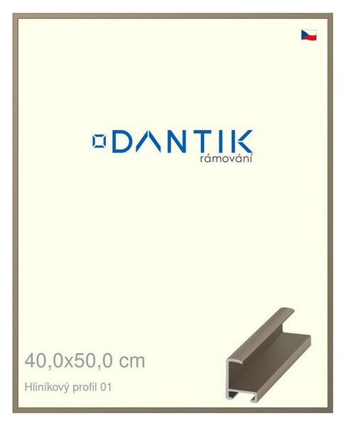DANTIK rám na obraz 40x50 | ALU champagne (Plexi Čiré)