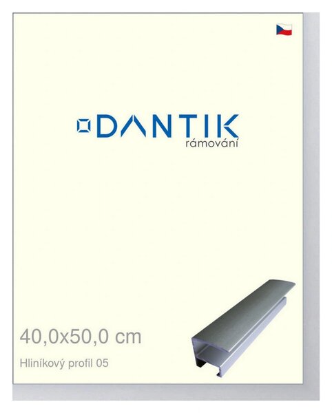 DANTIK rám na obraz 40x50 | ALU Stříbrná matná (Plexi Čiré)