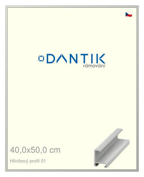 DANTIK rám na obraz 40x50 | ALU Stříbrná matná (Plexi Čiré)
