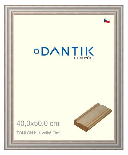 DANTIK rám na obraz 40x50 | TOULON bílá velká (Plexi Čiré)