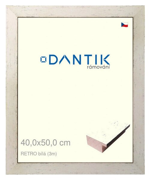 DANTIK rám na obraz 40x50 | RETRO bílá (Plexi Čiré)
