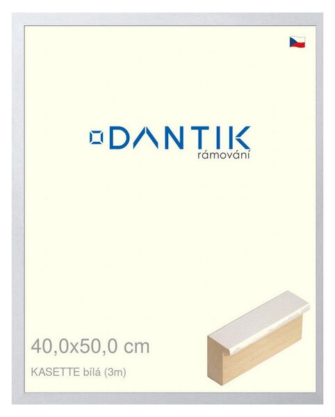 DANTIK rám na obraz 40x50 | KASSETTE bílá (Plexi Čiré)