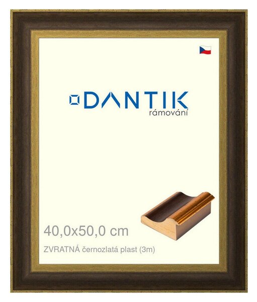 DANTIK rám na obraz 40x50 | ZVRATNÁ černozlatá plast (Plexi Čiré)