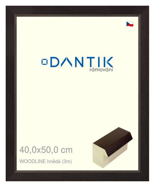 DANTIK rám na obraz 40x50 | WOODLINE hnědá (Plexi Čiré)