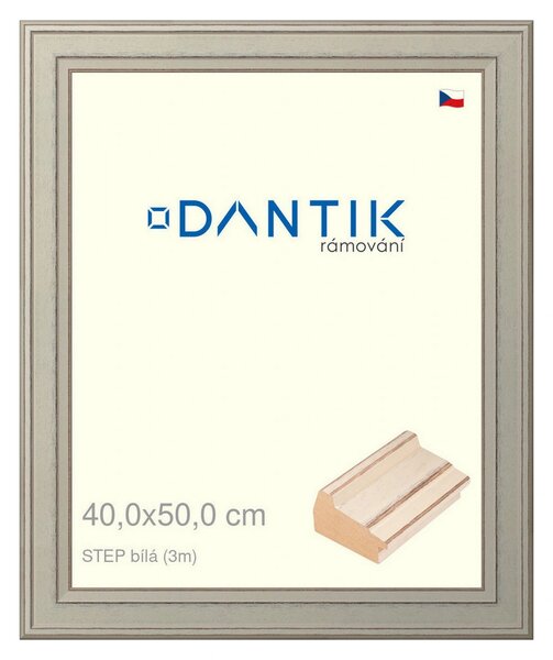 DANTIK rám na obraz 40x50 | STEP bílá (Plexi Čiré)