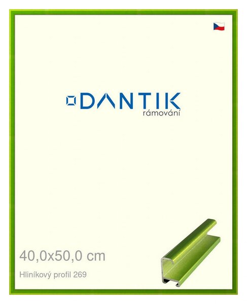 DANTIK rám na obraz 40x50 | ALU Zelená Smaragd broušená (Plexi Čiré)