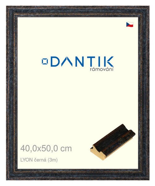 DANTIK rám na obraz 40x50 | LYON černá (Plexi Čiré)