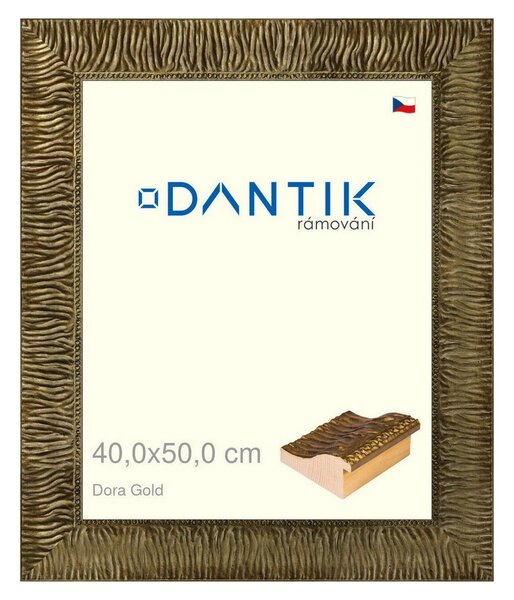 DANTIK rám na obraz 40x50 | Dora Gold (Plexi Čiré)