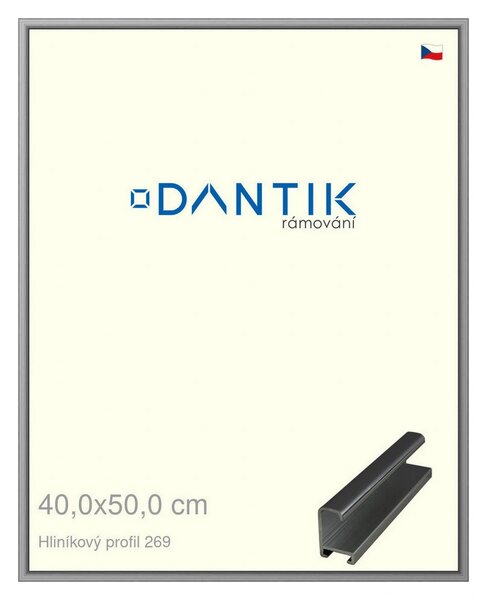 DANTIK rám na obraz 40x50 | ALU Šedá leská (Plexi Čiré)
