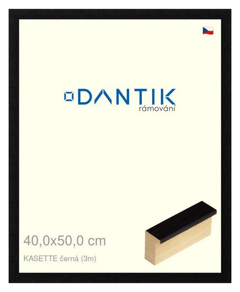 DANTIK rám na obraz 40x50 | KASSETTE černá (Plexi Čiré)