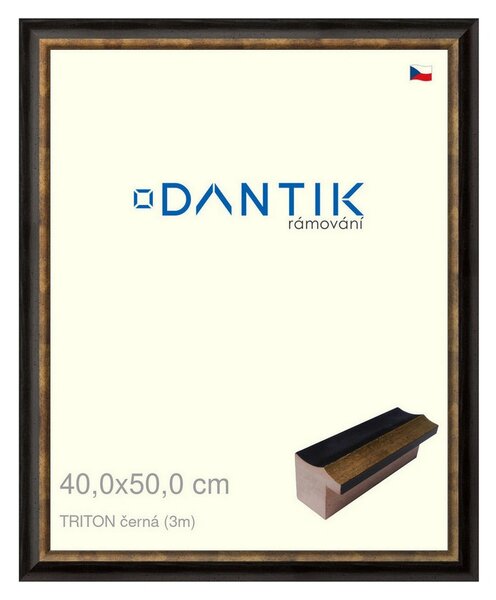 DANTIK rám na obraz 40x50 | TRITON černá (Plexi Čiré)