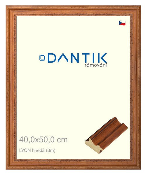 DANTIK rám na obraz 40x50 | LYON hnědá (Plexi Čiré)