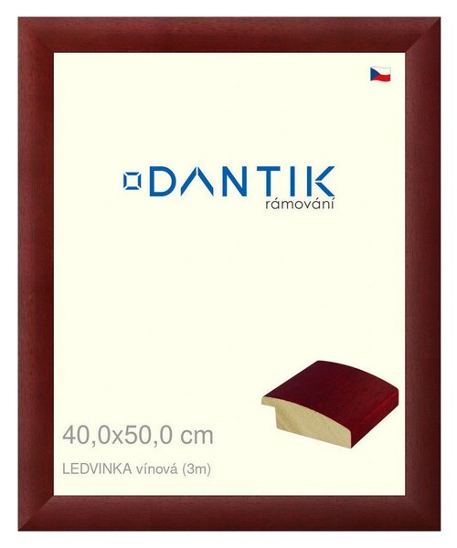 DANTIK rám na obraz 40x50 | LEDVINKA vínová (Plexi Čiré)