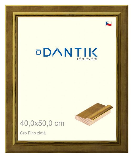 DANTIK rám na obraz 40x50 | Oro Fino zlatá (Plexi Čiré)