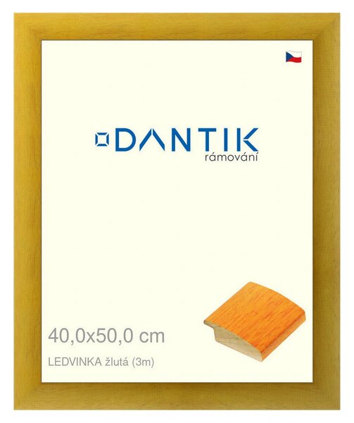 DANTIK rám na obraz 40x50 | LEDVINKA žlutá (Plexi Čiré)