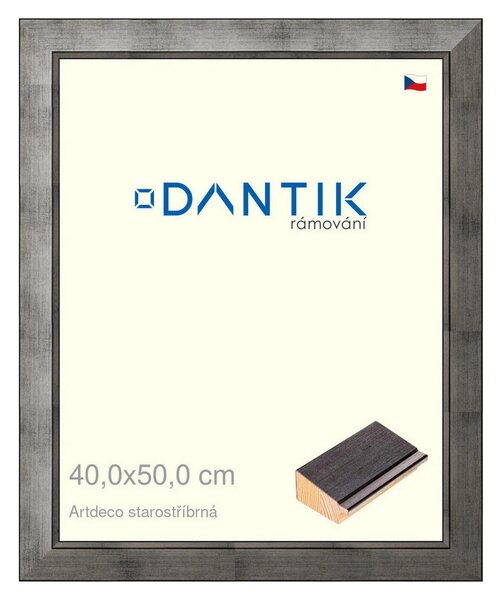 DANTIK rám na obraz 40x50 | Artdeco starostříbrná (Plexi Čiré)