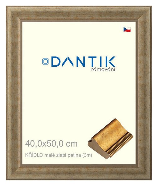 DANTIK rám na obraz 40x50 | KŘÍDLO malé zlaté patina (Plexi Čiré)