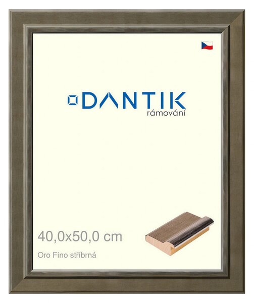 DANTIK rám na obraz 40x50 | Oro Fino stříbrná (Plexi Čiré)