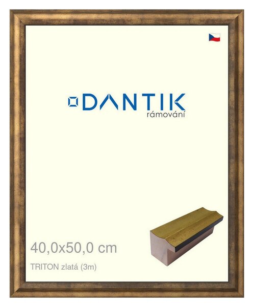 DANTIK rám na obraz 40x50 | TRITON zlatá (Plexi Čiré)