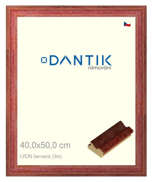 DANTIK rám na obraz 40x50 | LYON červená (Plexi Čiré)