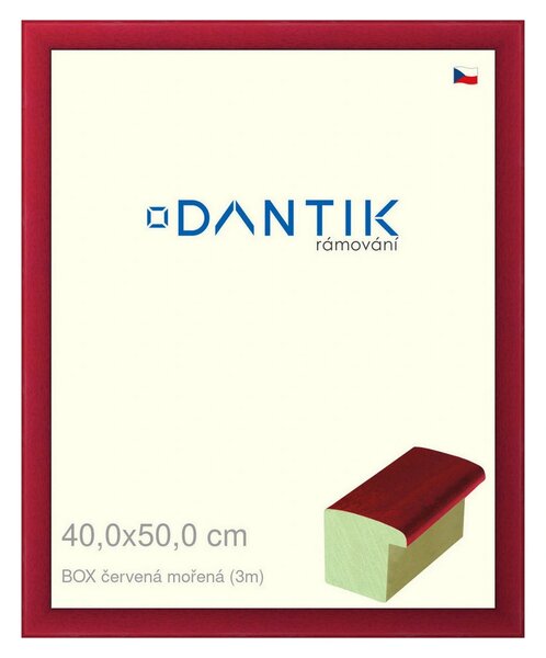 DANTIK rám na obraz 40x50 | BOX červená mořená (Plexi Čiré)