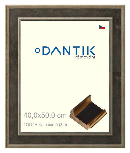 DANTIK rám na obraz 40x50 | TOOTH zlato černá (Plexi Čiré)