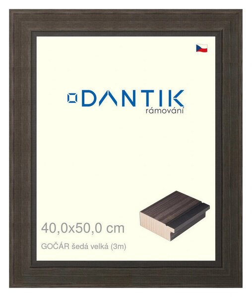 DANTIK rám na obraz 40x50 | Gočár šedá velká (Plexi Čiré)