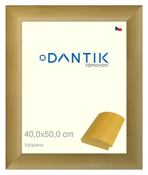 DANTIK rám na obraz 40x50 | Vyřazeno | RENÉ přírodní (Plexi Čiré)