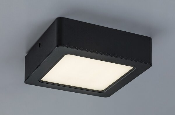Rabalux 2689 - LED Stropné svietidlo SHAUN LED/12W/230V 14,5 cm