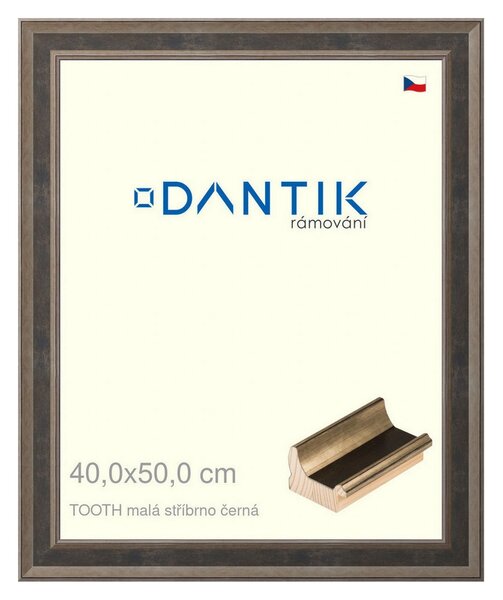 DANTIK rám na obraz 40x50 | TOOTH malá stříbrno černá (Plexi Čiré)