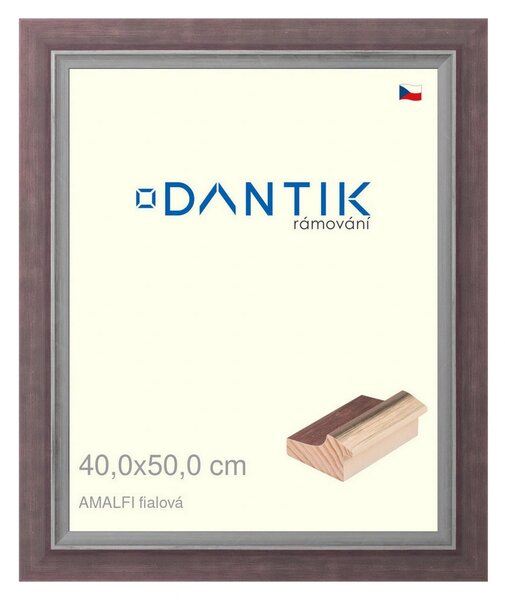 DANTIK rám na obraz 40x50 | AMALFI fialová (Plexi Čiré)
