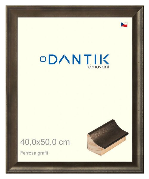 DANTIK rám na obraz 40x50 | Ferrosa grafit (Plexi Čiré)