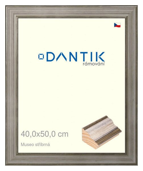 DANTIK rám na obraz 40x50 | Museo stříbrná (Plexi Čiré)
