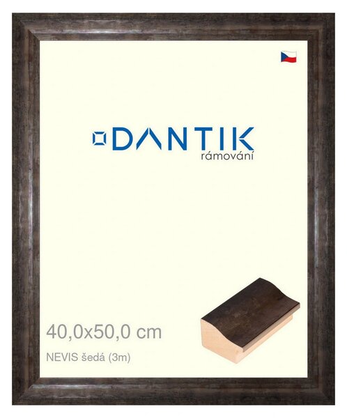 DANTIK rám na obraz 40x50 | NEVIS šedá (Plexi Čiré)