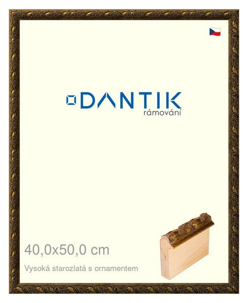 DANTIK rám na obraz 40x50 | Vysoká starozlatá s ornamentem (Plexi Čiré)