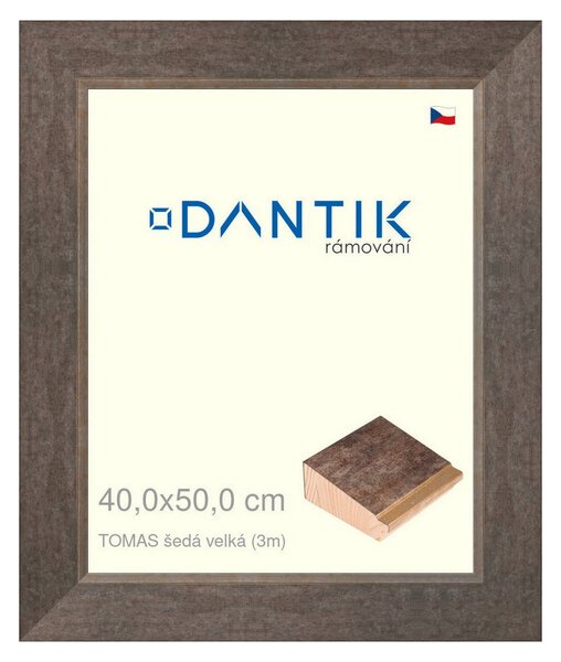 DANTIK rám na obraz 40x50 | TOMAS šedá velká (Plexi Čiré)