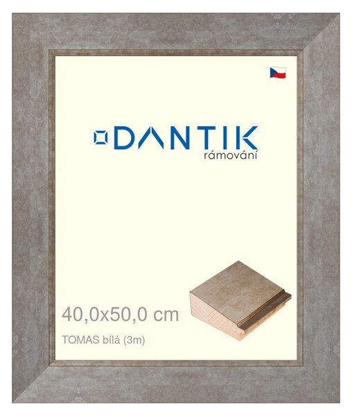 DANTIK rám na obraz 40x50 | TOMAS bílá velká (Plexi Čiré)