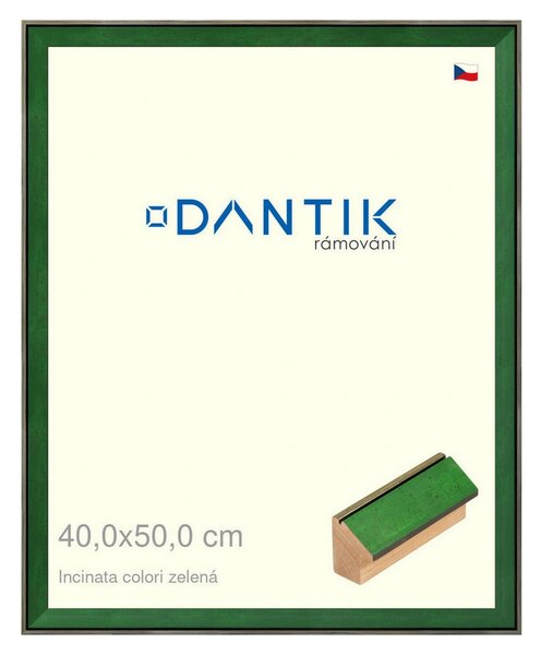 DANTIK rám na obraz 40x50 | INCLINATA colori zelená (Plexi Čiré)