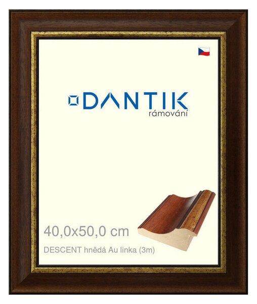 DANTIK rám na obraz 40x50 | DESCENT hnědá Au linka (Plexi Čiré)