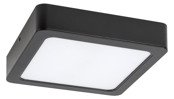 Rabalux 2689 - LED Stropné svietidlo SHAUN LED/12W/230V 14,5 cm