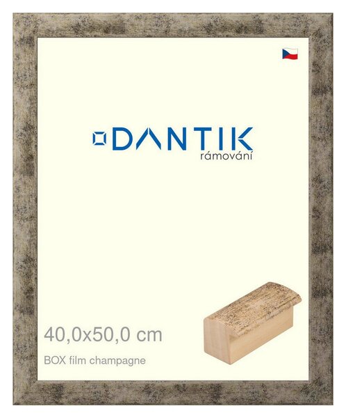 DANTIK rám na obraz 40x50 | BOX film champagne (Plexi Čiré)