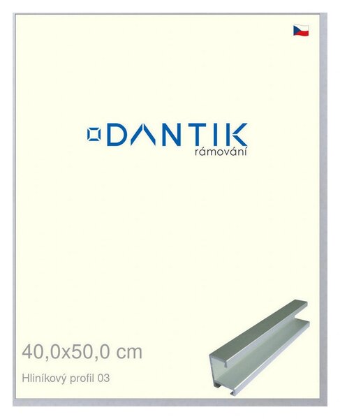 DANTIK rám na obraz 40x50 | ALU Stříbrná matná (Plexi Čiré)