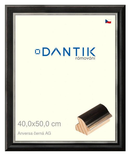 DANTIK rám na obraz 40x50 | ANIVERSA černá AG (Plexi Čiré)